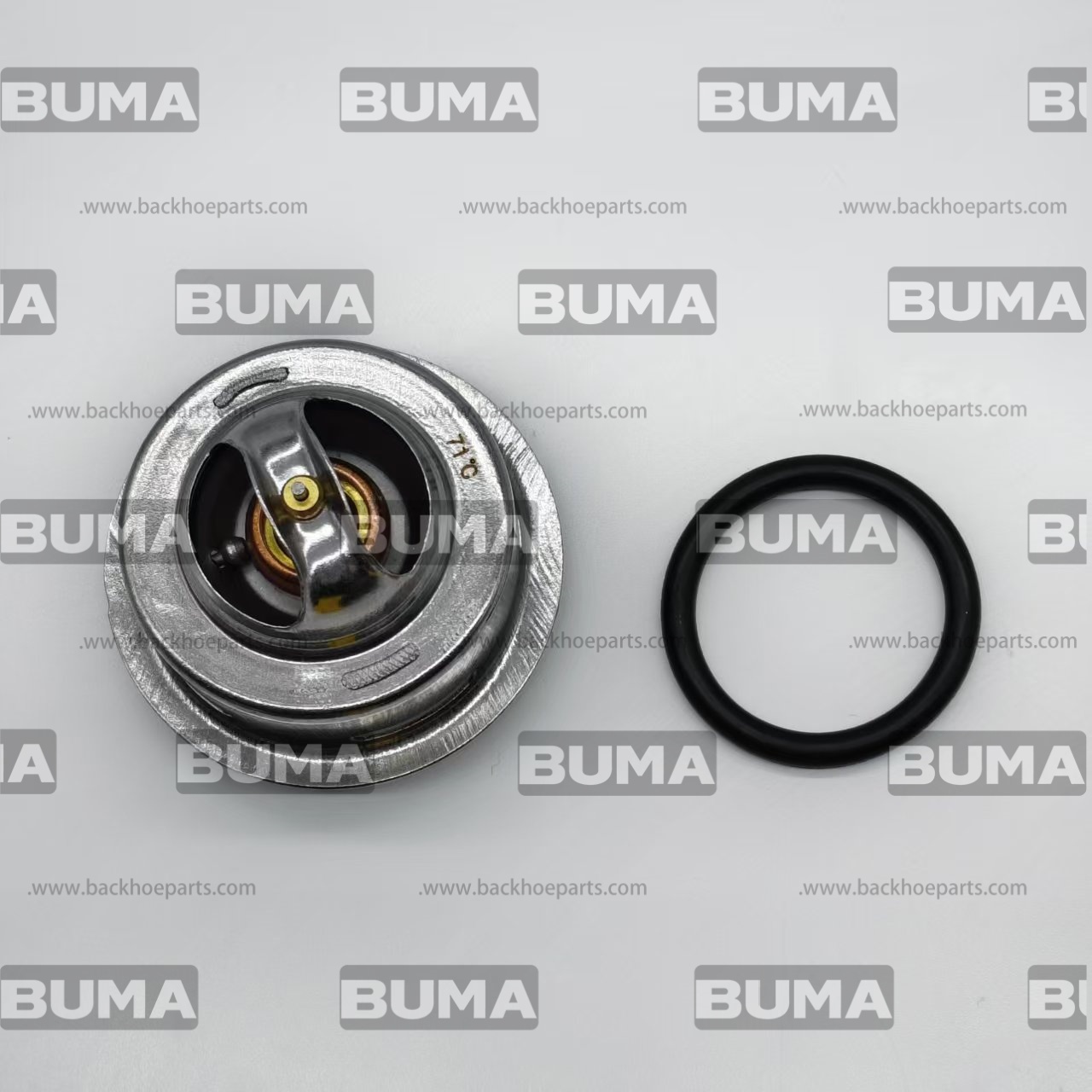 51-8010 Thermostat