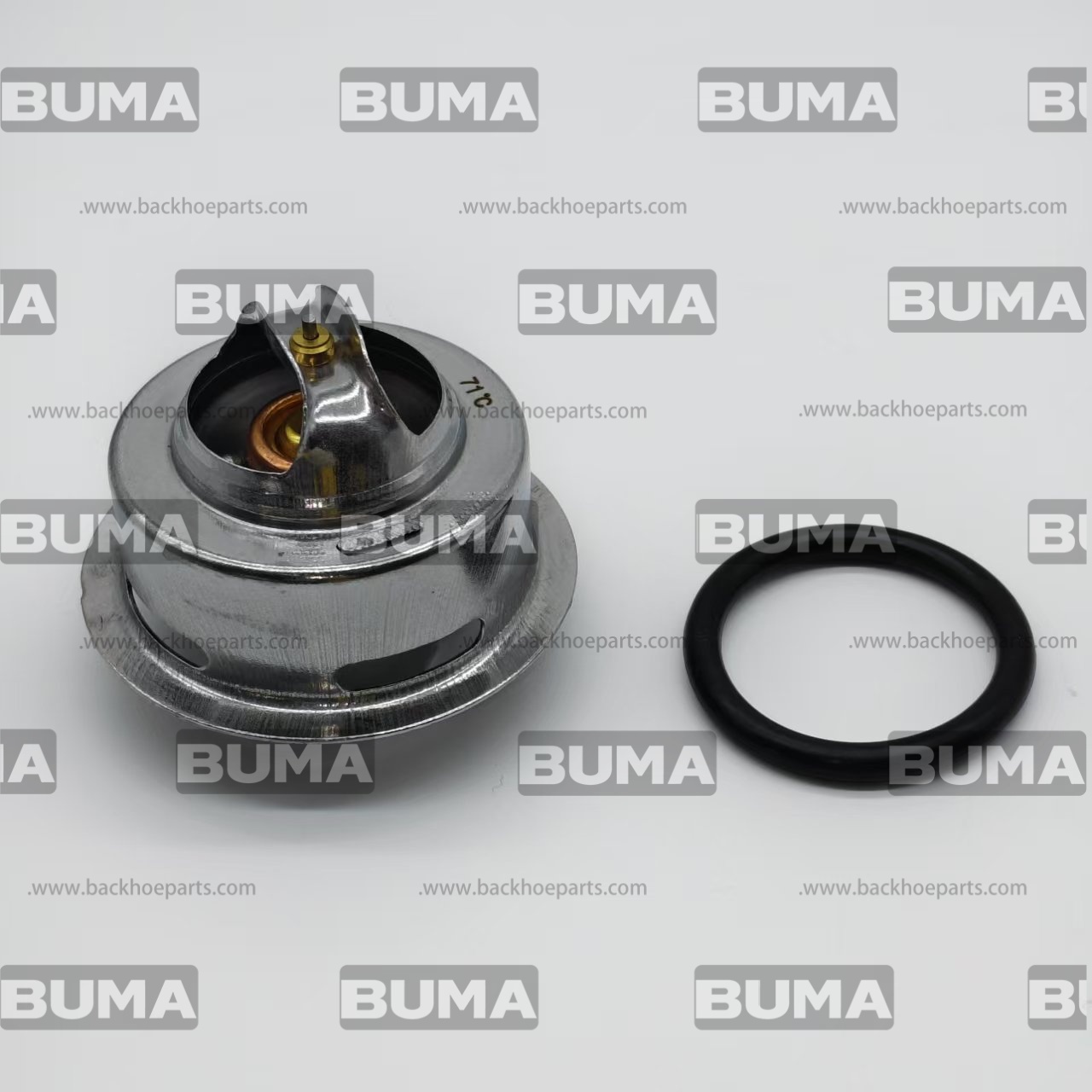 51-8010 Thermostat